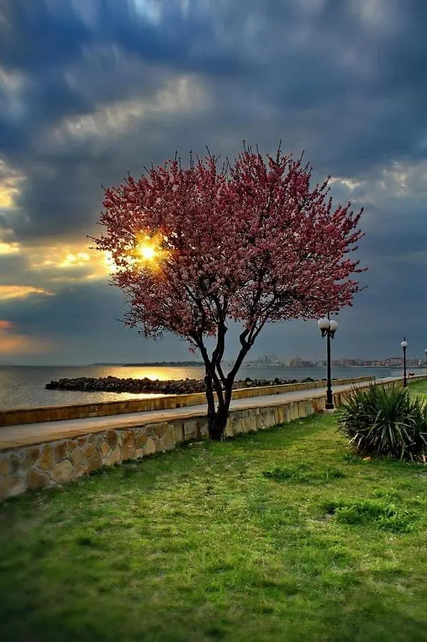 Самостоятелни Стаи На Брега На Морето Pomorie Bulgaria