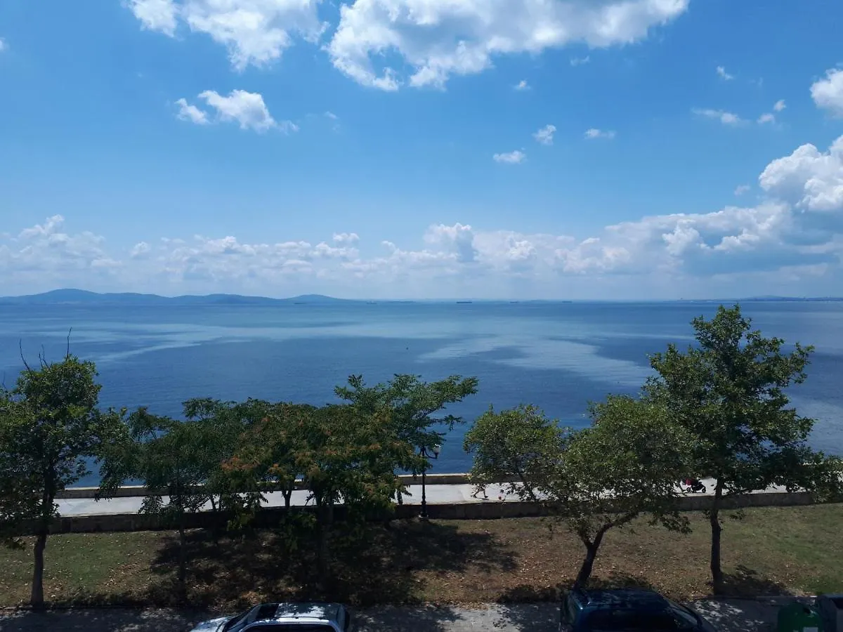 Самостоятелни Стаи На Брега На Морето Pomorie