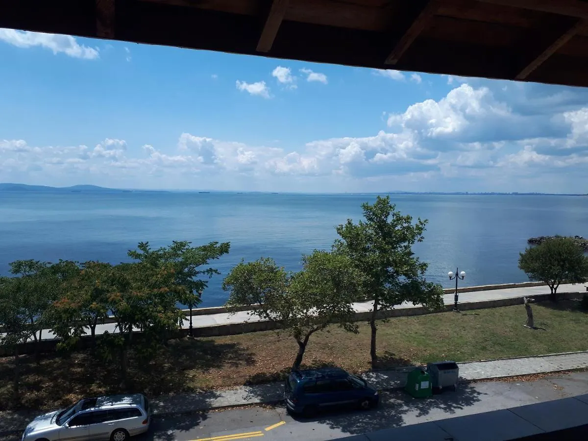 Самостоятелни Стаи На Брега На Морето Pomorie